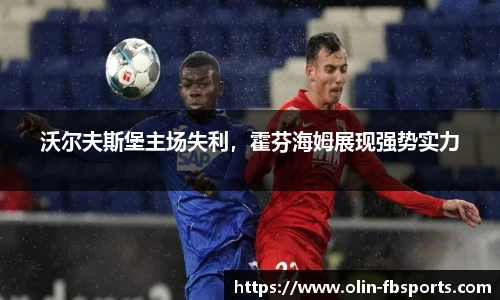 沃尔夫斯堡主场失利，霍芬海姆展现强势实力